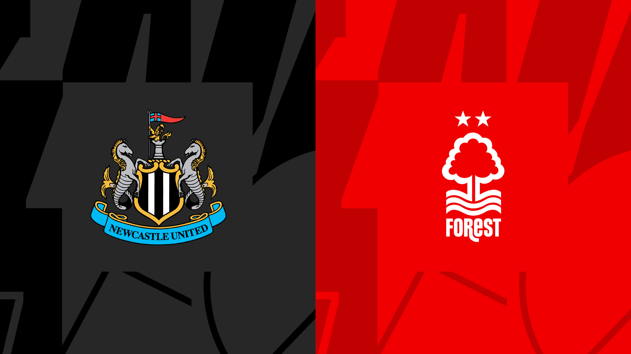 Newcastle vs Nottingham