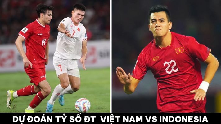 Việt Nam vs Indonesia